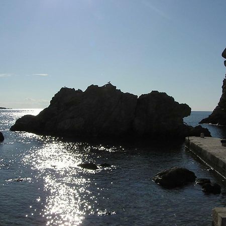 Comfortable 3* Apartment Lapad Center Dubrovnik Bagian luar foto